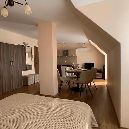 Cozy Horizont Studio Apartment *